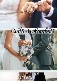 Cinta Terlambat