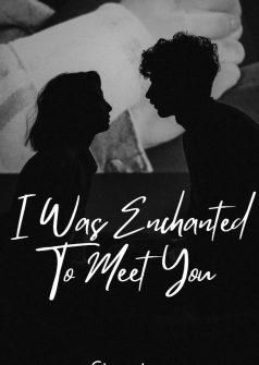 I Was Enchanted To Meet You