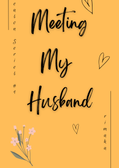 Season Series 1: Meeting My Husband