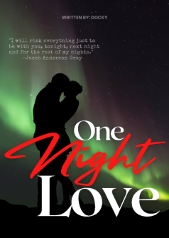 One Night Love