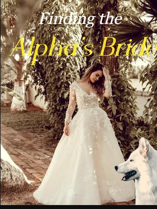 Finding the Alpha's Bride