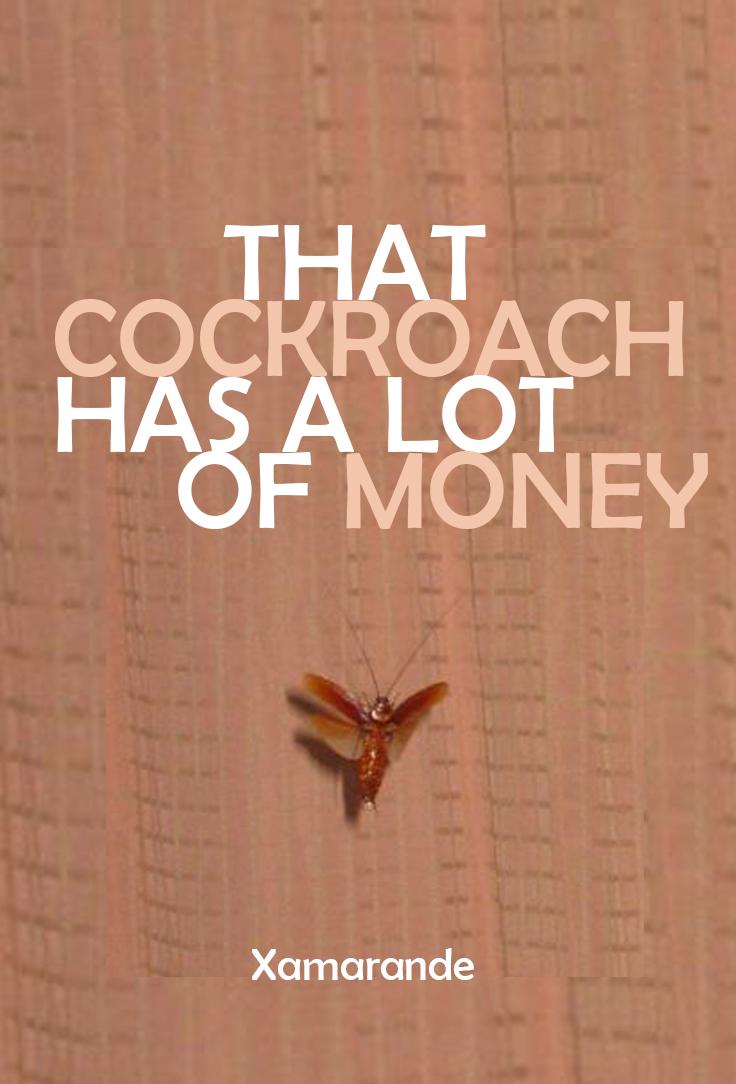 That Cockroach Has a Lot of Money