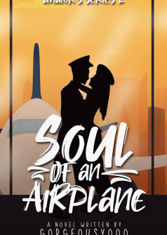 Aviator's Series#02: Soul Of An Airplane