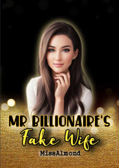 Mr Billionaire's Fake Wife
