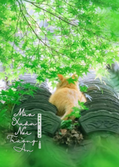 Mùa Xuân Nơi Trường An