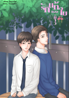 รักแท้ของใบข้าว