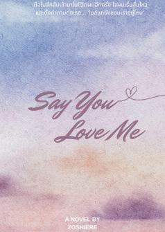 Say You Love Me