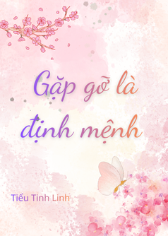 Gặp gỡ là định mệnh