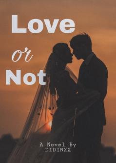 Love or Not