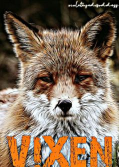 VIXEN