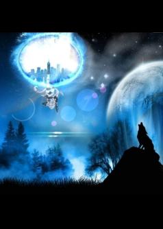 Reincarnation: Two Worlds Apart
