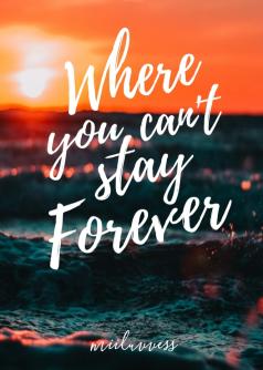 Where You Can't Stay Forever