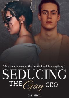 Seducing The Gay CEO