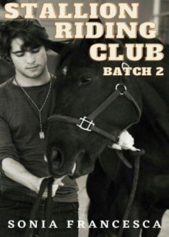 STALLION SERIES batch 2
