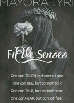 Five Senses