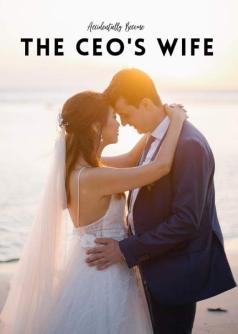 ACCIDENTALLY BECOME THE CEO'S WIFE