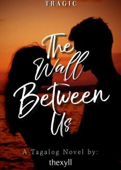 The Wall Between Us