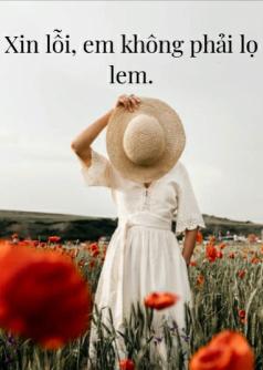 Xin lỗi, em không phải lọ lem