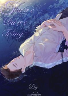 Thược Dược Trắng