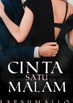 Cinta Satu Malam