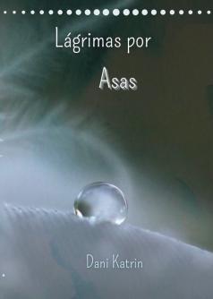 Lágrimas por asas