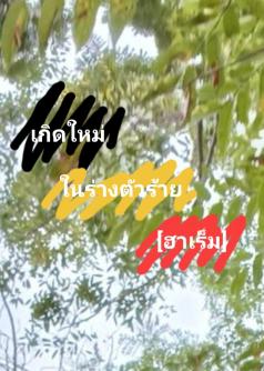 เกิดใหม่ในร่างตัวร้าย [ฮาเร็ม]
