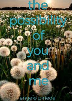 THE POSSIBILITY OF YOU AND ME