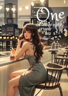 one night คืนหนึ่งเราเคยพบกัน