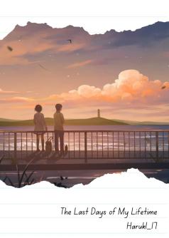 The Last Days of My Lifetime