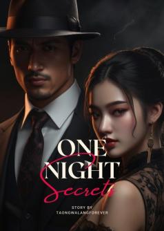 One Night Secrets