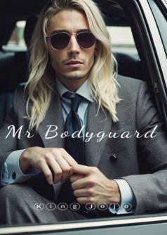 Mr Bodyguard