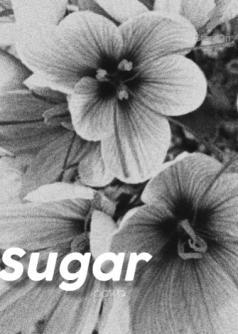 Sugar