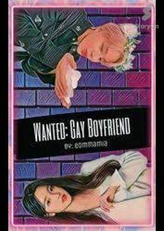 Wanted: Gay Boyfriend